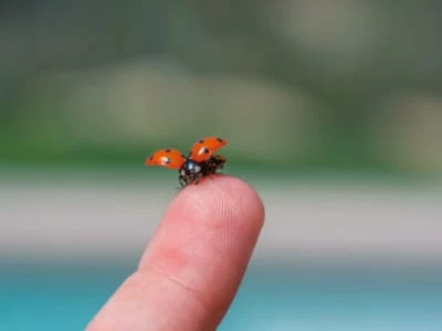 40 frases delicadas para ter doses de fofura na sua rotina