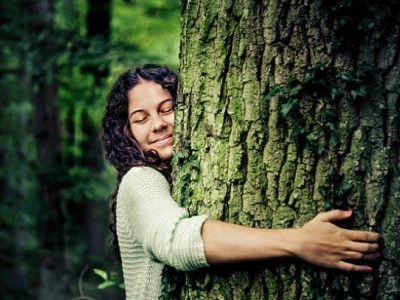 40 frases sobre árvores para cuidar e preservar o que realmente importa