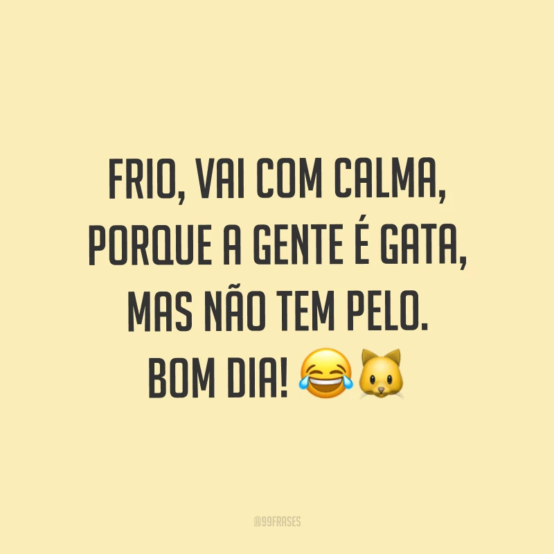 Frio, vai com calma, porque a gente é gata, mas não tem pelo. Bom dia! ??