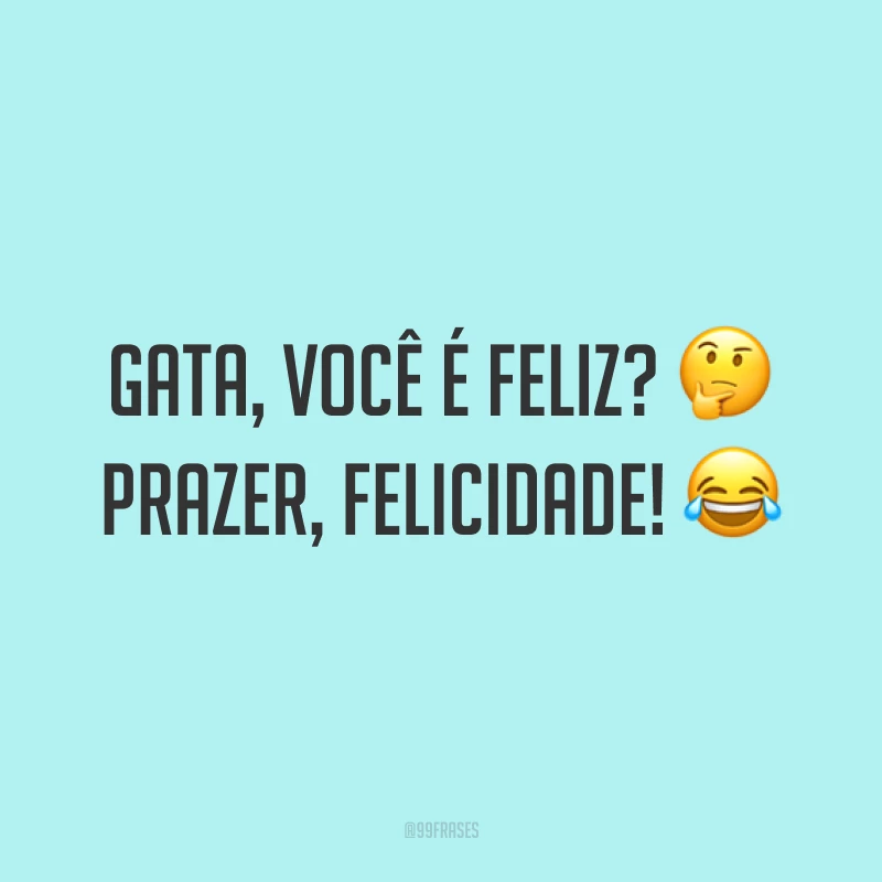 Gata, você é feliz? ? Prazer, felicidade! ?