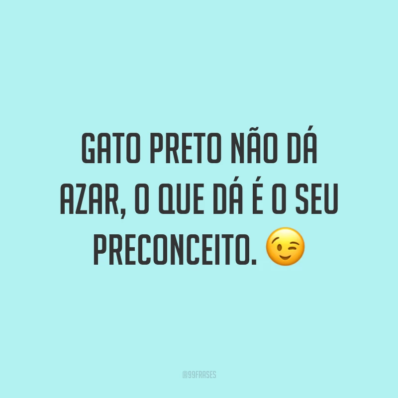 Gato preto não dá azar, o que dá é o seu preconceito. 😉