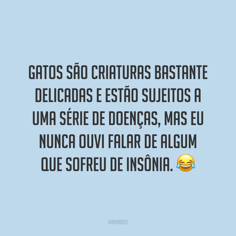 Gatos são criaturas bastante delicadas e estão sujeitos a uma série de doenças, mas eu nunca ouvi falar de algum que sofreu de insônia. 😂