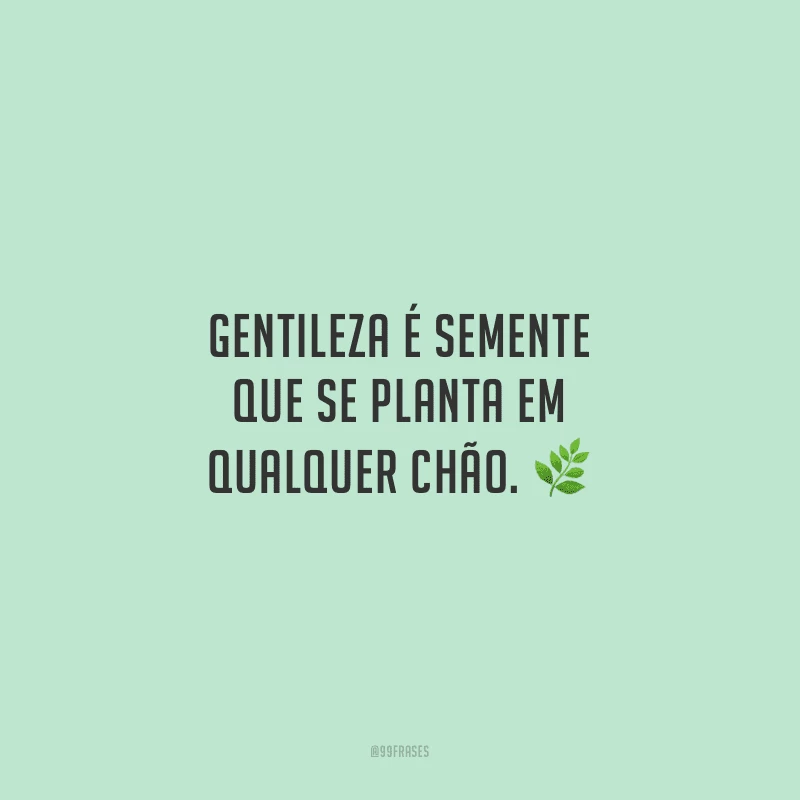 Gentileza é semente que se planta em qualquer chão.