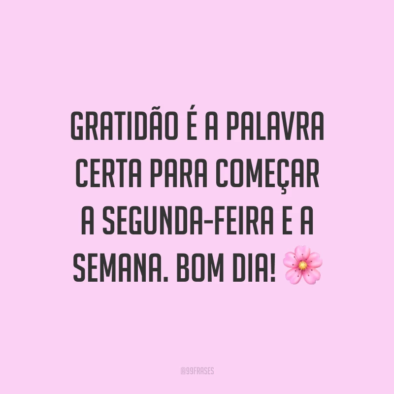 Gratidão é a palavra certa para começar a segunda-feira e a semana. Bom dia! 🌸