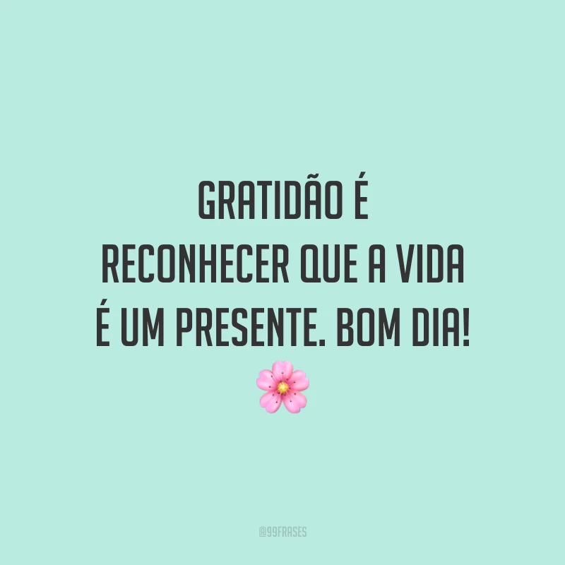 Gratidão é reconhecer que a vida é um presente. Bom dia! 🌸