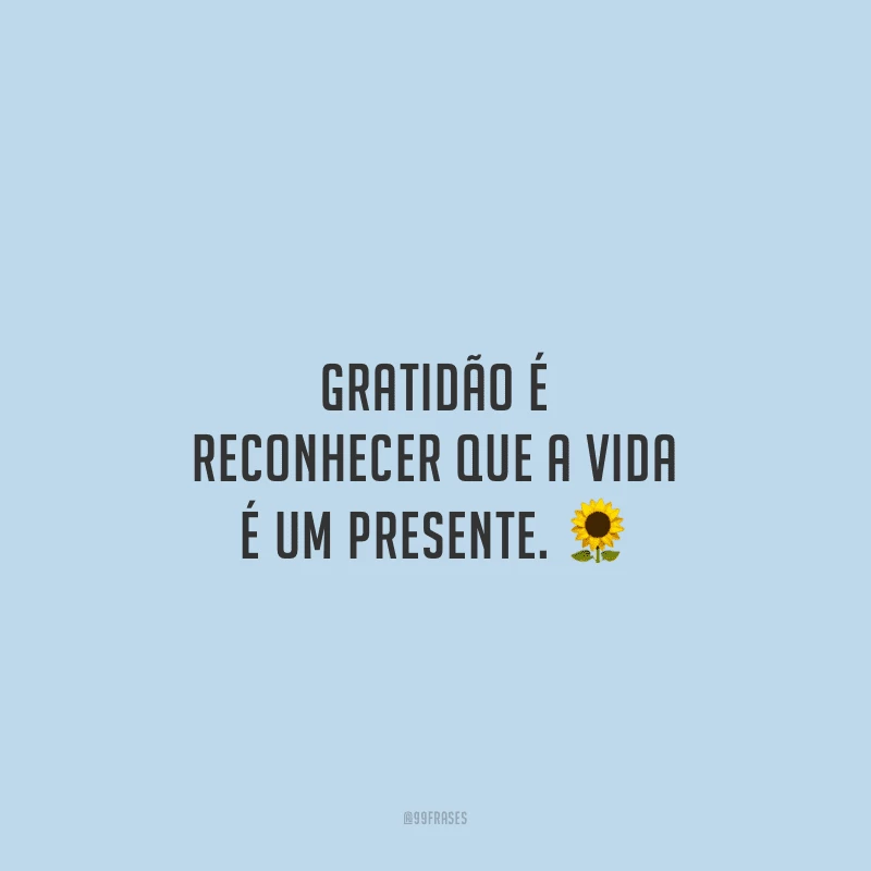 Gratidão é reconhecer que a vida é um presente.