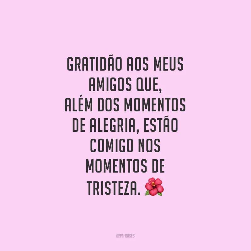 Gratidão aos meus amigos que, além dos momentos de alegria, estão comigo nos momentos de tristeza.