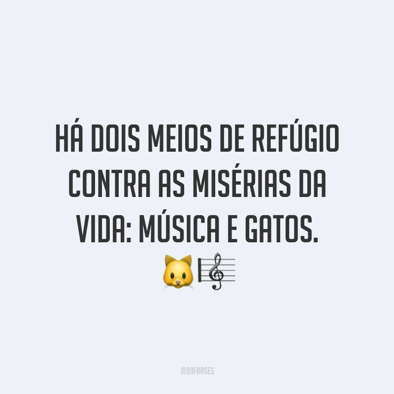 Há dois meios de refúgio contra as misérias da vida: música e gatos. 🐱🎼