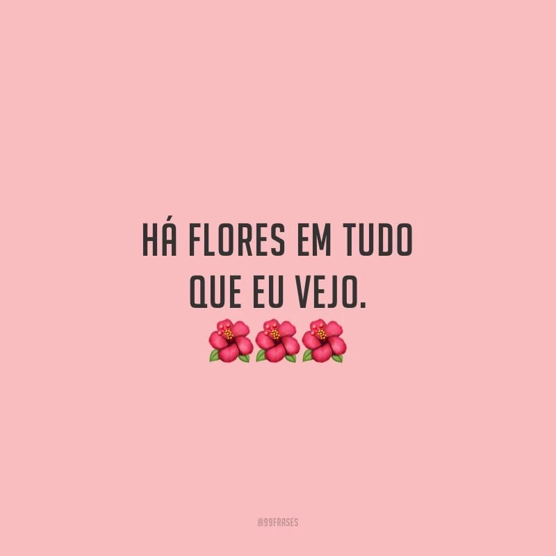 Há flores em tudo que eu vejo. 