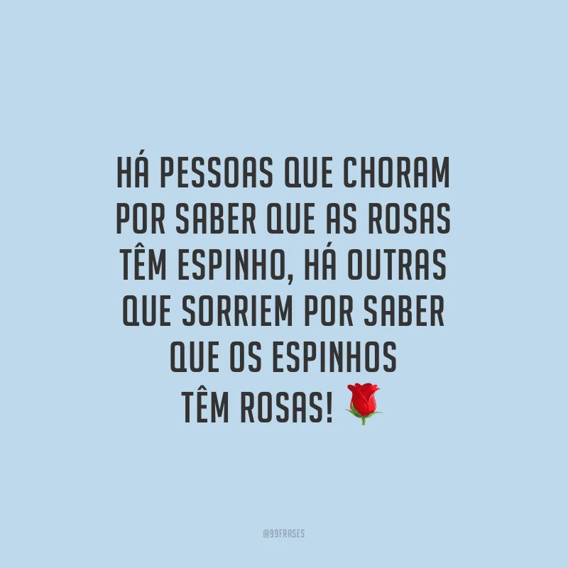 Há pessoas que choram por saber que as rosas têm espinho, há outras que sorriem por saber que os espinhos têm rosas! 