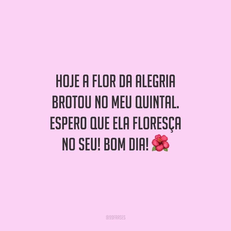 Hoje a flor da alegria brotou no meu quintal. Espero que ela floresça no seu! Bom dia! 
