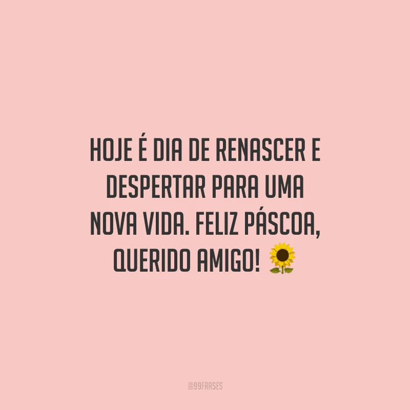 Hoje é dia de renascer e despertar para uma nova vida. Feliz Páscoa, querido amigo!