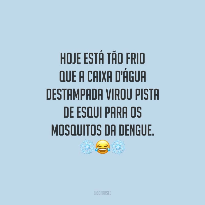 Hoje está tão frio que a caixa d'água destampada virou pista de esqui para os mosquitos da dengue.
