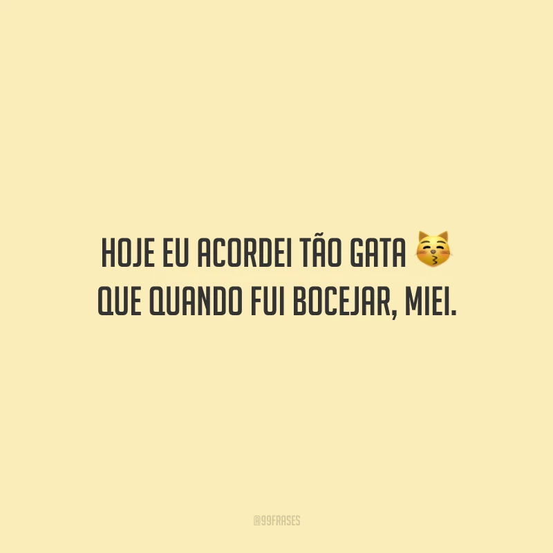 Hoje eu acordei tão gata que quando fui bocejar, miei. 