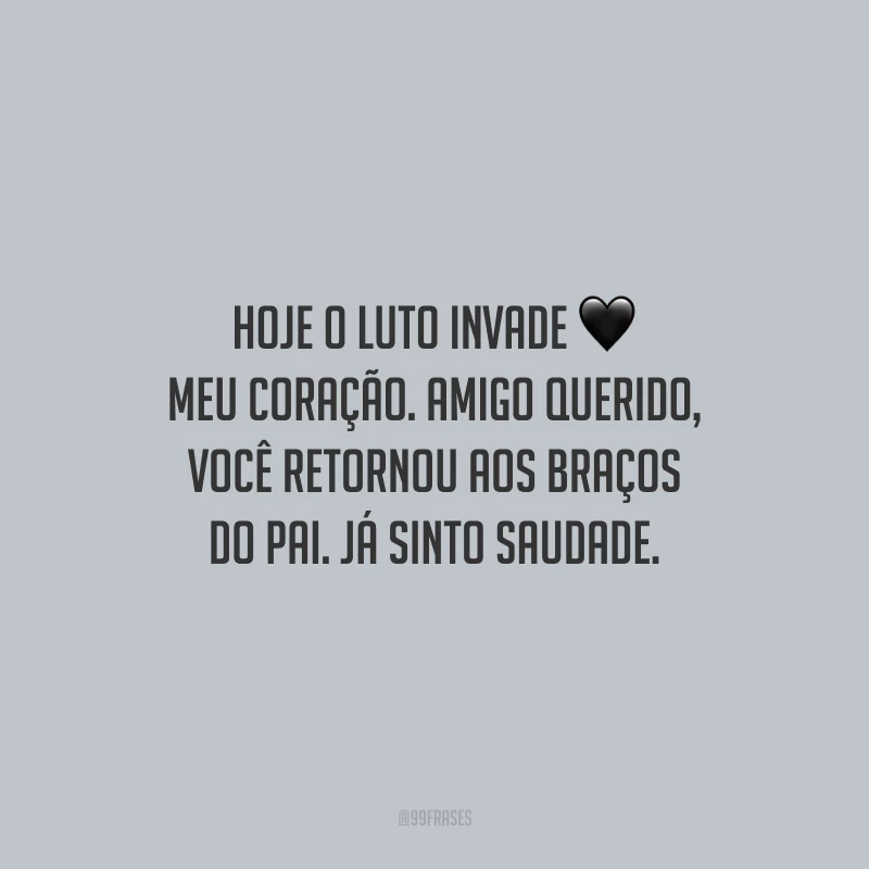 Hoje o luto invade meu coração. Amigo querido, você retornou aos braços do Pai. Já sinto saudade.