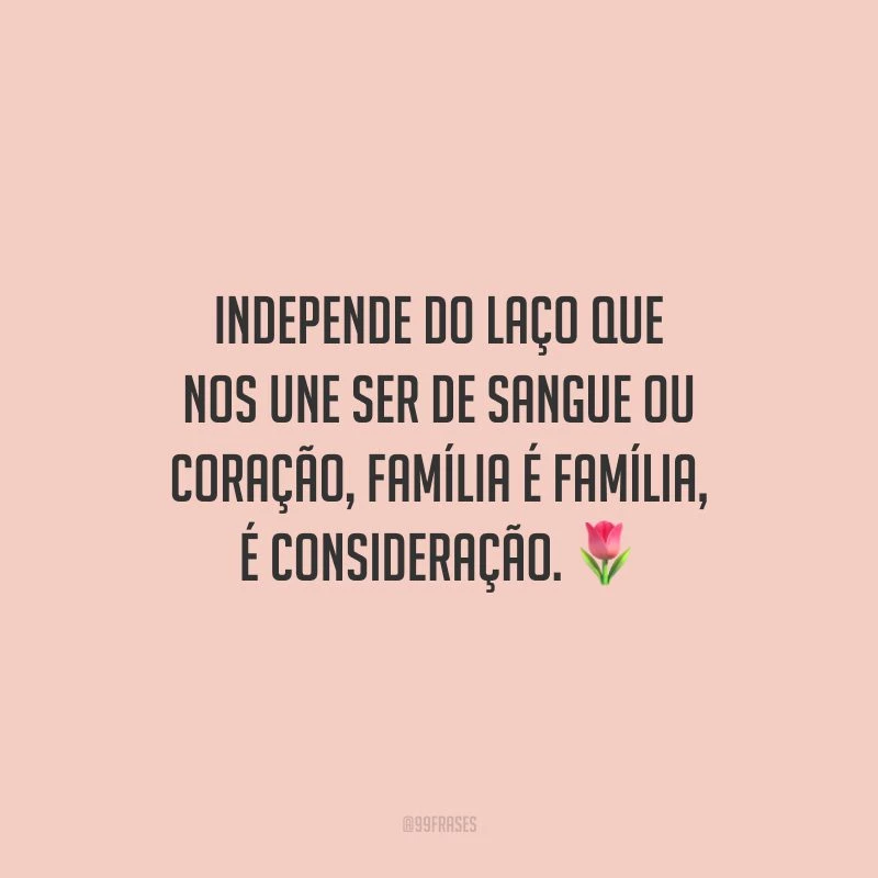 Independe do laço que nos une ser de sangue ou coração, família é família, é consideração.