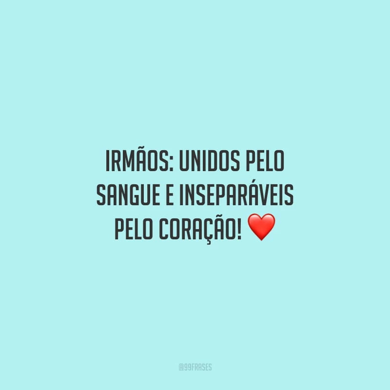 Irmãos: unidos pelo sangue e inseparáveis pelo coração!