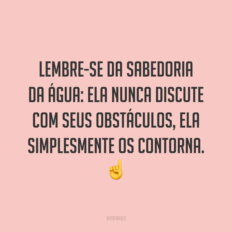 Lembre-se da sabedoria da água: ela nunca discute com seus obstáculos, ela simplesmente os contorna.☝️