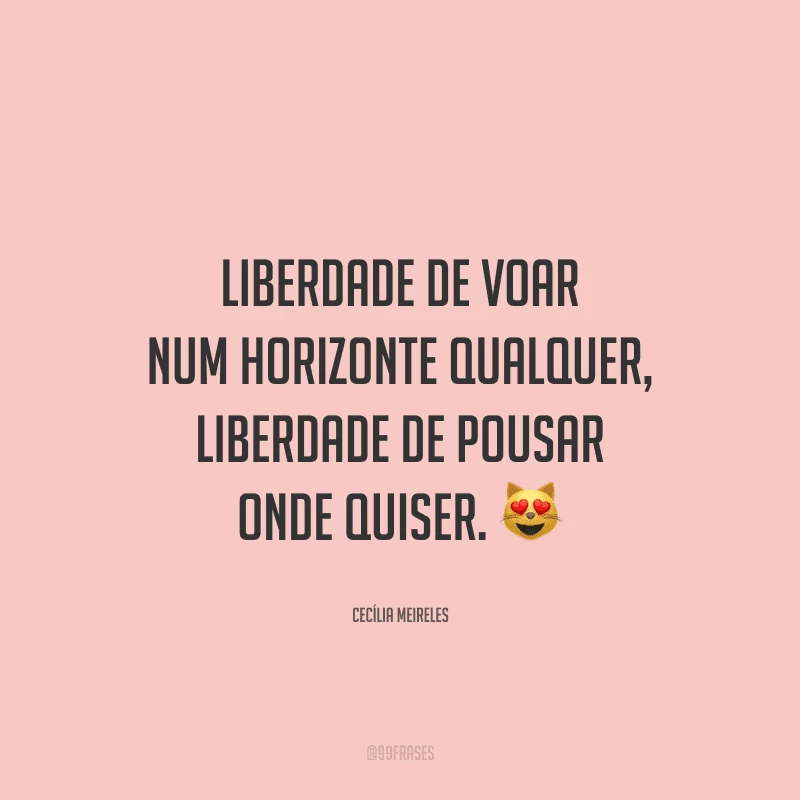 Liberdade de voar num horizonte qualquer, liberdade de pousar onde quiser. 