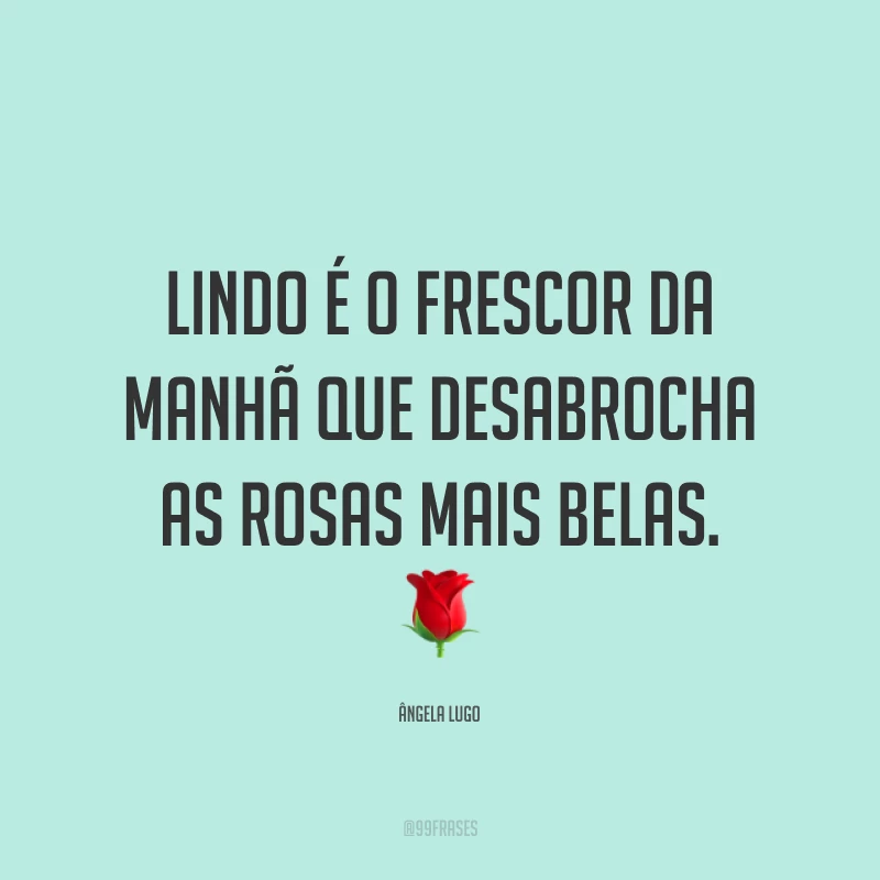 Lindo é o frescor da manhã que desabrocha as rosas mais belas. 🌹