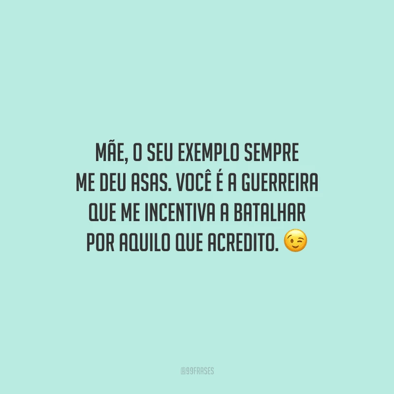 Mãe, o seu exemplo sempre me deu asas. Você é a guerreira que me incentiva a batalhar por aquilo que acredito.