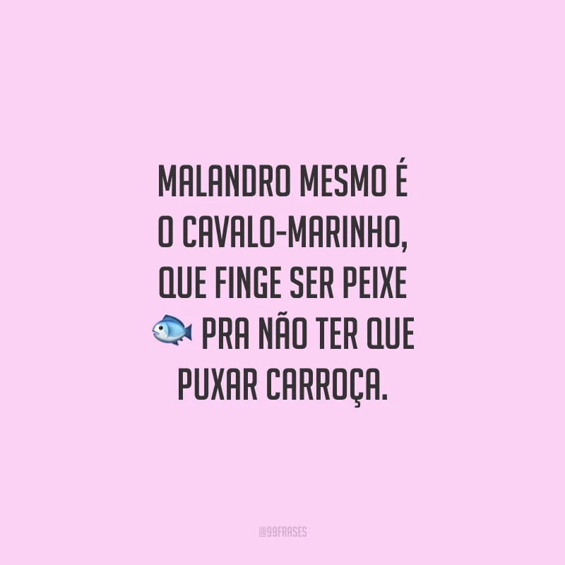 Malandro mesmo é o cavalo-marinho, que finge ser peixe pra não ter que puxar carroça.