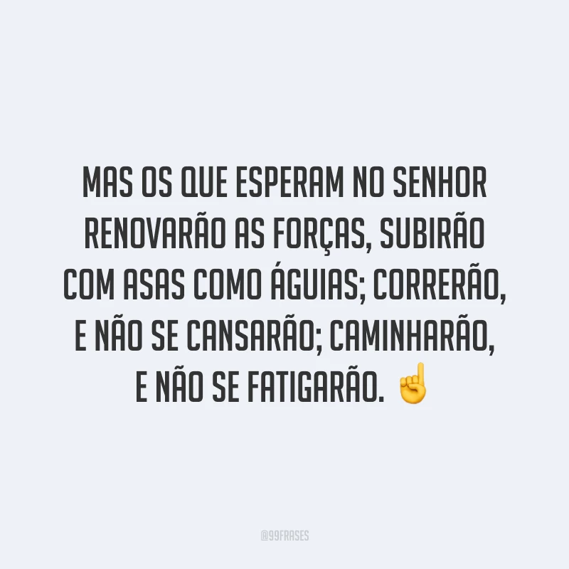 Mas os que esperam no Senhor renovarão as forças, subirão com asas como águias; correrão, e não se cansarão; caminharão, e não se fatigarão. ☝