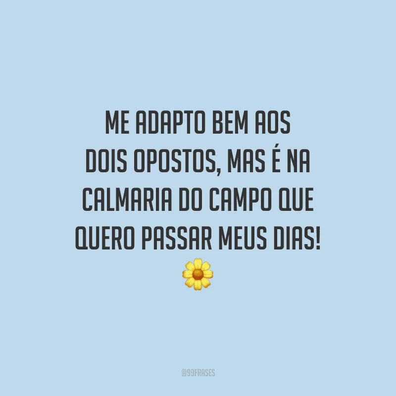 Me adapto bem aos dois opostos, mas é na calmaria do campo que quero passar meus dias!