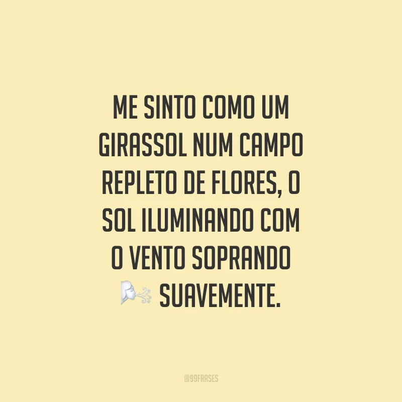 Me sinto como um girassol num campo repleto de flores, o sol iluminando com o vento soprando suavemente.