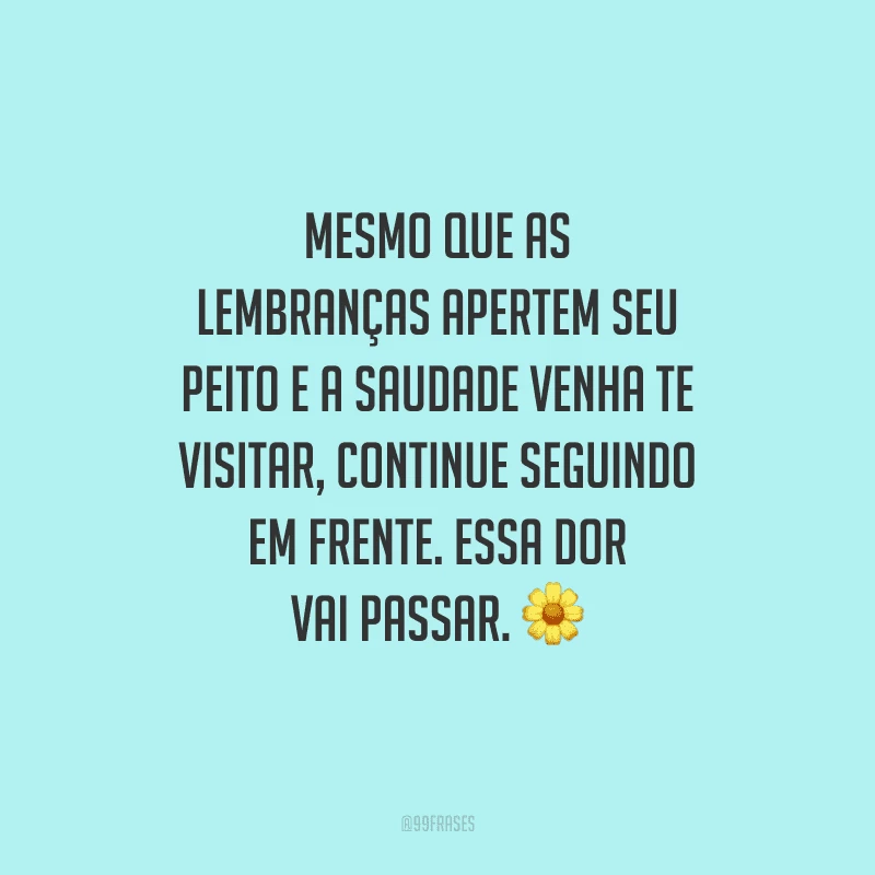 Mesmo que as lembranças apertem seu peito e a saudade venha te visitar, continue seguindo em frente. Essa dor vai passar. 🌼