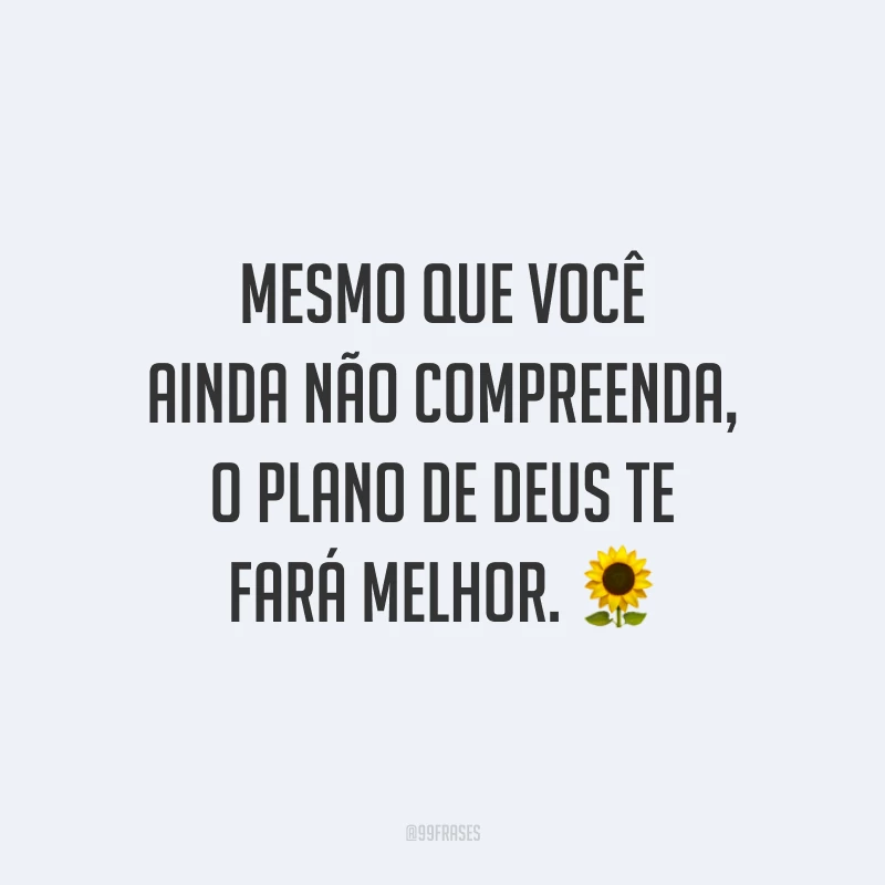 Mesmo que você ainda não compreenda, o plano de Deus te fará melhor. 🌻
