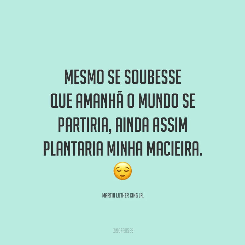 Mesmo se soubesse que amanhã o mundo se partiria, ainda assim plantaria minha macieira.