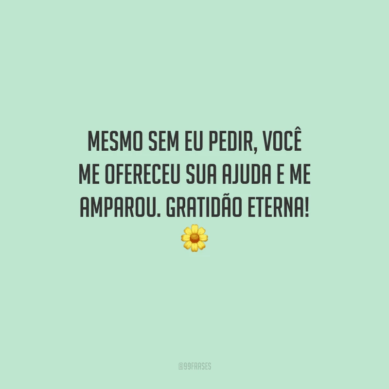 Mesmo sem eu pedir, você me ofereceu sua ajuda e me amparou. Gratidão eterna! 🌼