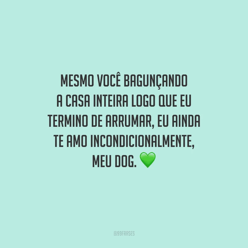 Mesmo você bagunçando a casa inteira logo que eu termino de arrumar, eu ainda te amo incondicionalmente, meu dog.