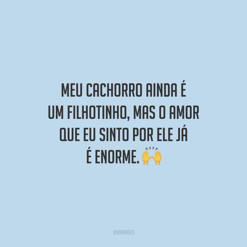 Meu cachorro ainda é um filhotinho, mas o amor que eu sinto por ele já é enorme.