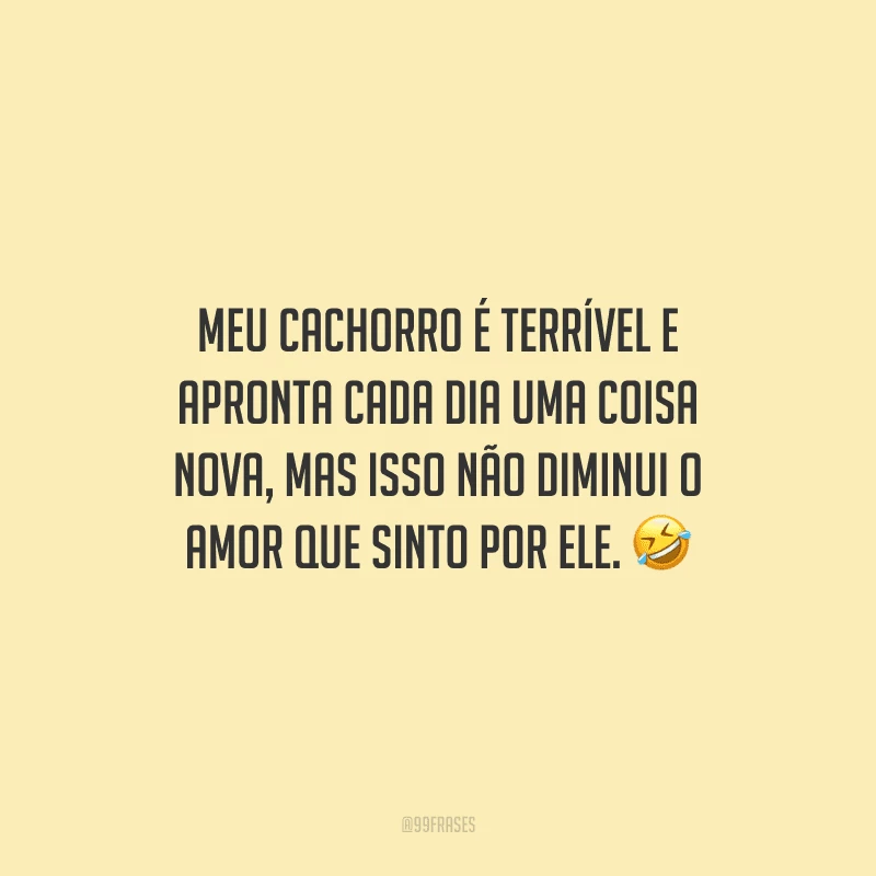 Meu cachorro é terrível e apronta cada dia uma coisa nova, mas isso não diminui o amor que sinto por ele.