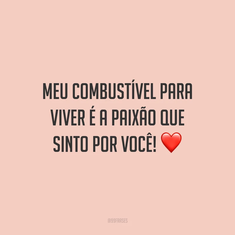 Meu combustível para viver é a paixão que sinto por você!