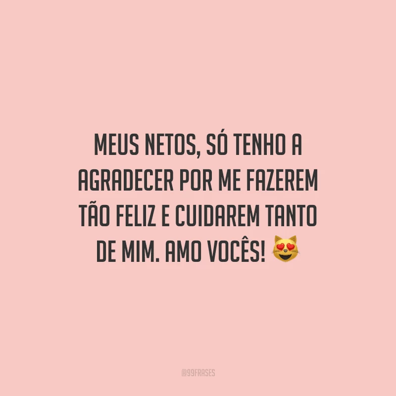 Meus netos, só tenho a agradecer por me fazerem tão feliz e cuidarem tanto de mim. Amo vocês! 