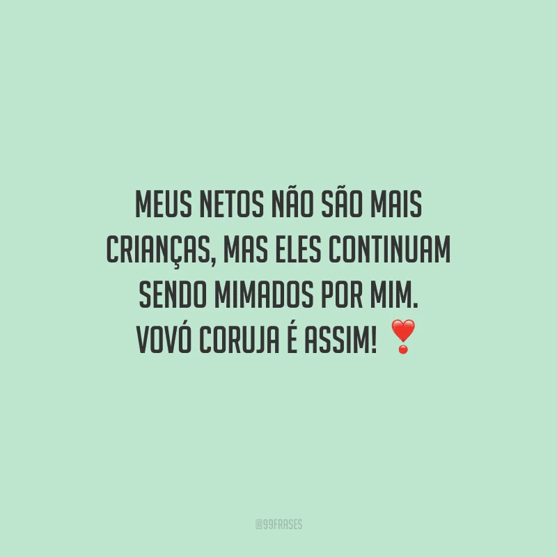 Meus netos não são mais crianças, mas eles continuam sendo mimados por mim. Vovó coruja é assim!