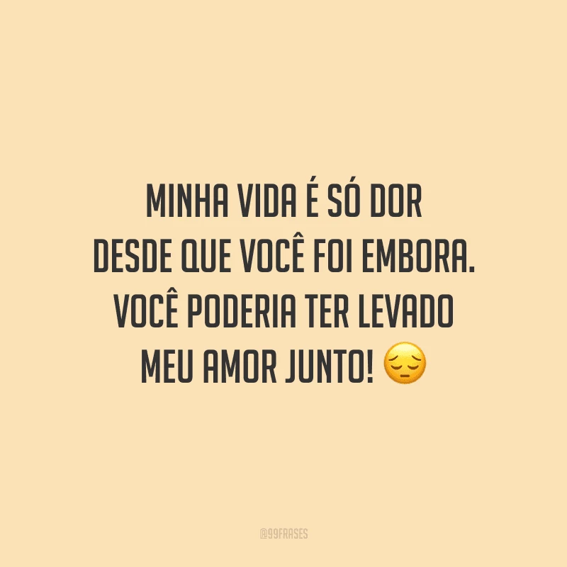 Minha vida é só dor desde que você foi embora. Você poderia ter levado meu amor junto!