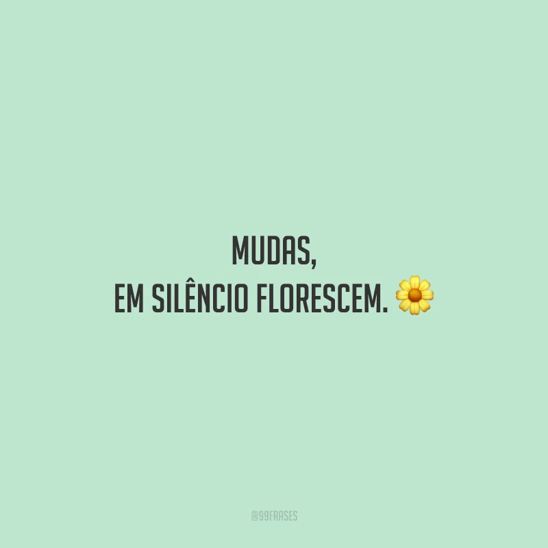 Mudas, em silêncio florescem.