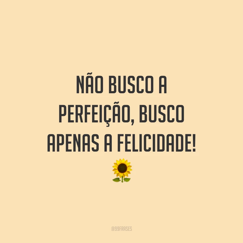 Não busco a perfeição, busco apenas a felicidade!