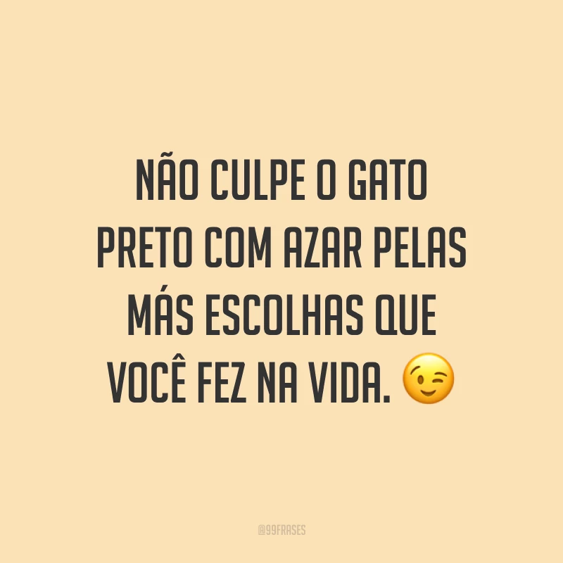 Não culpe o gato preto com azar pelas más escolhas que você fez na vida. 😉