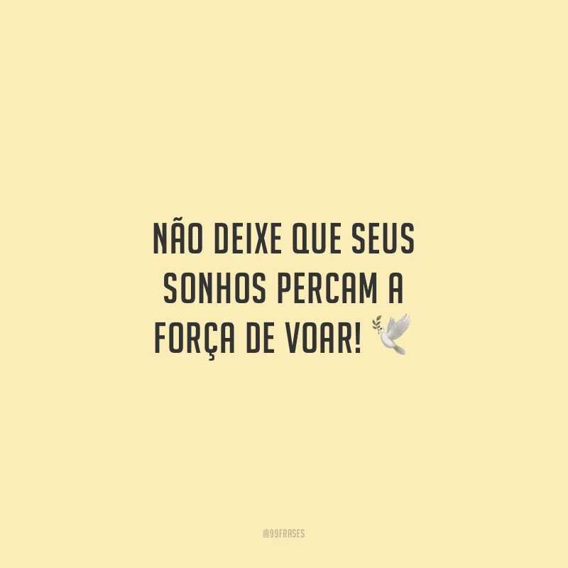 Não deixe que seus sonhos percam a força de voar!