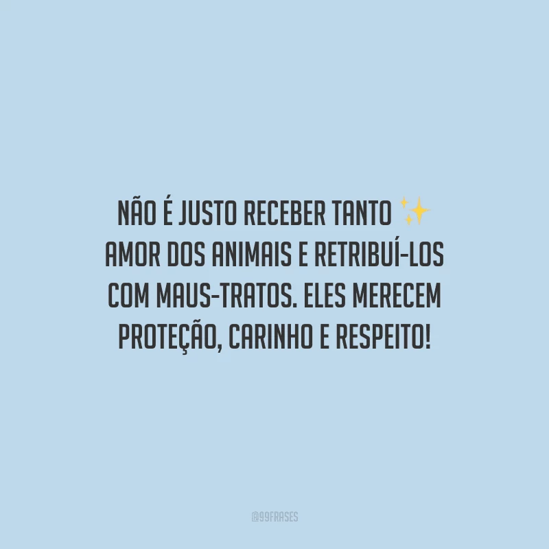 Não é justo receber tanto amor dos animais e retribuí-los com maus-tratos. Eles merecem proteção, carinho e respeito!