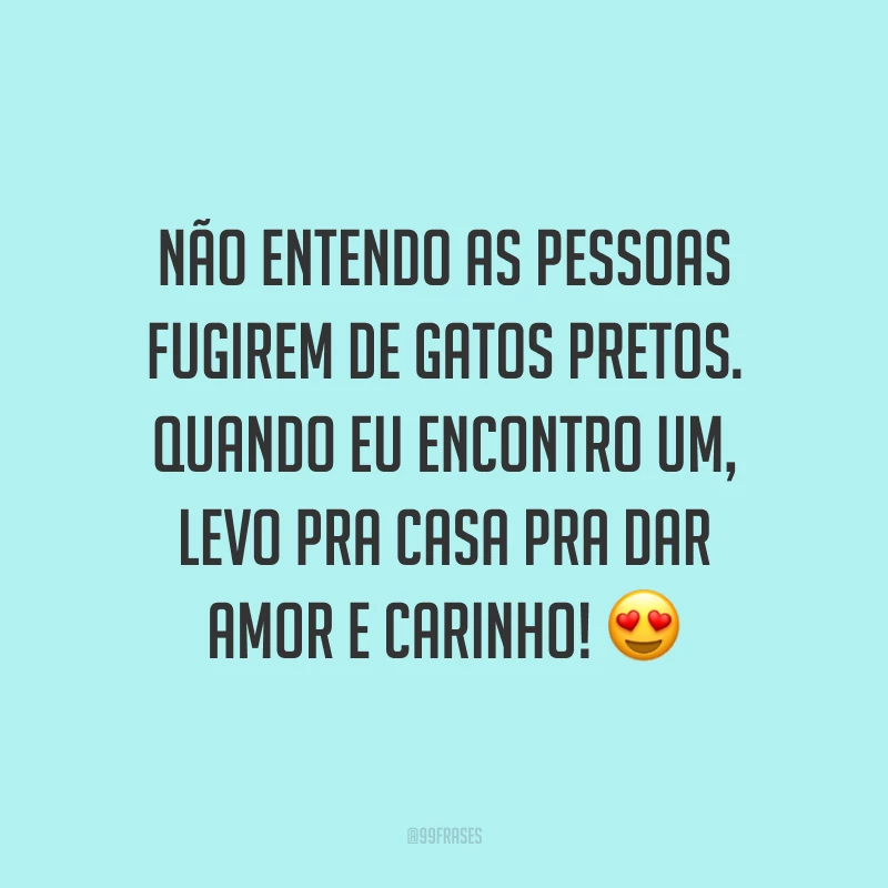 Não entendo as pessoas fugirem de gatos pretos. Quando eu encontro um, levo pra casa pra dar amor e carinho! 😍