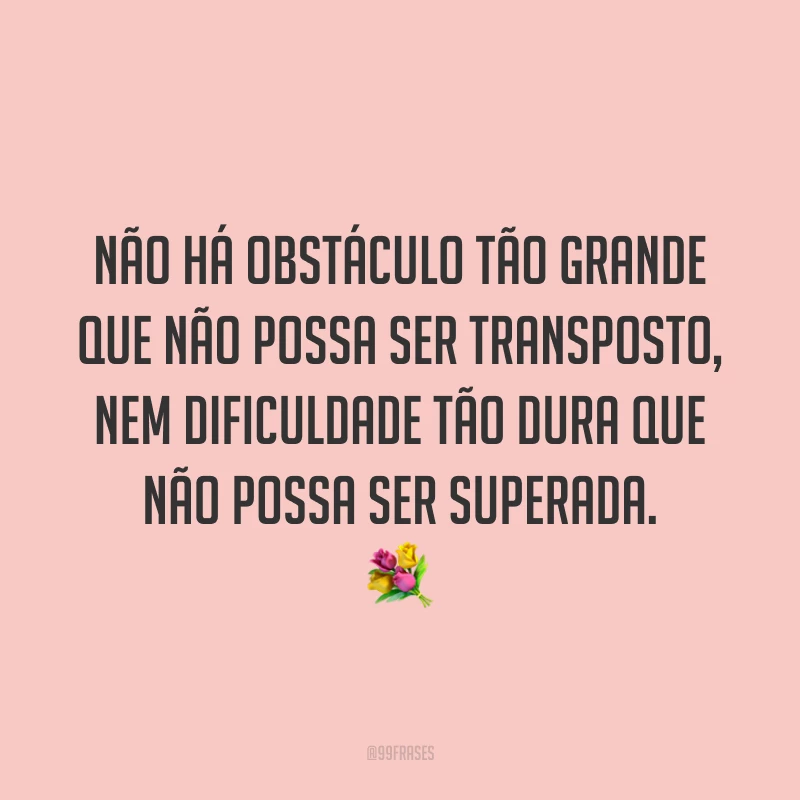 Não há obstáculo tão grande que não possa ser transposto, nem dificuldade tão dura que não possa ser superada. 💐