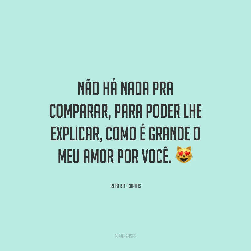 Não há nada pra comparar, para poder lhe explicar, como é grande o meu amor por você.