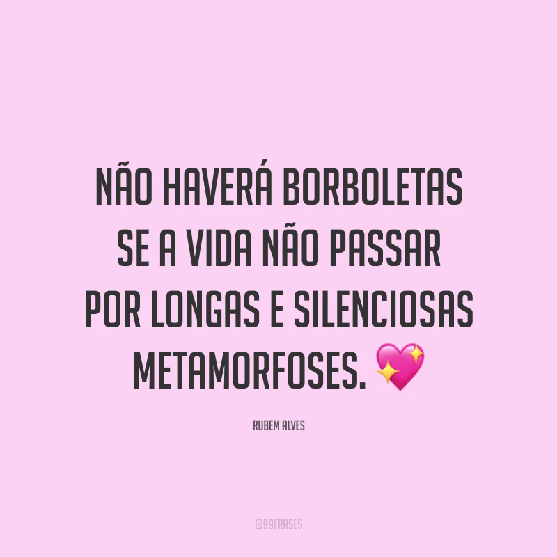 Não haverá borboletas se a vida não passar por longas e silenciosas metamorfoses.?