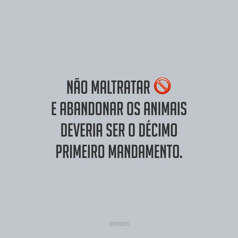Não maltratar e abandonar os animais deveria ser o décimo primeiro mandamento.